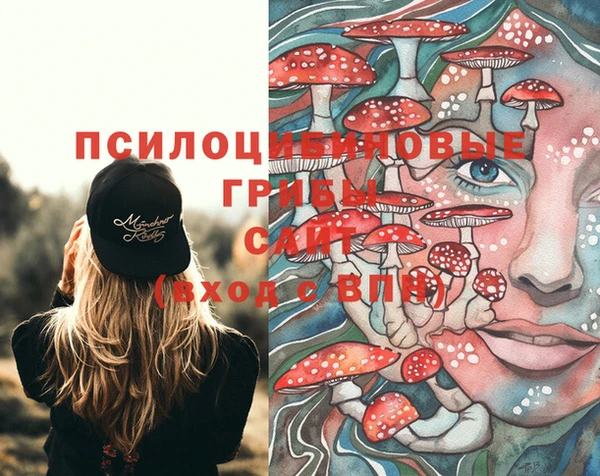 спайс Карталы