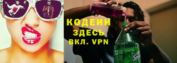 дживик Козельск
