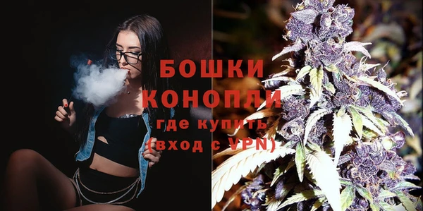 дживик Козельск