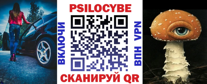 Псилоцибиновые грибы Psilocybe  Курчалой 